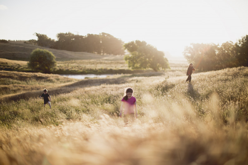 Annual Result 2020: Silver Fern Farms Responds to Dynamic Global Trading Environment with Strong Performance