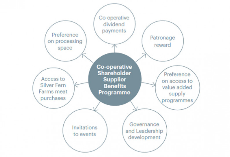 New Shareholders Programme